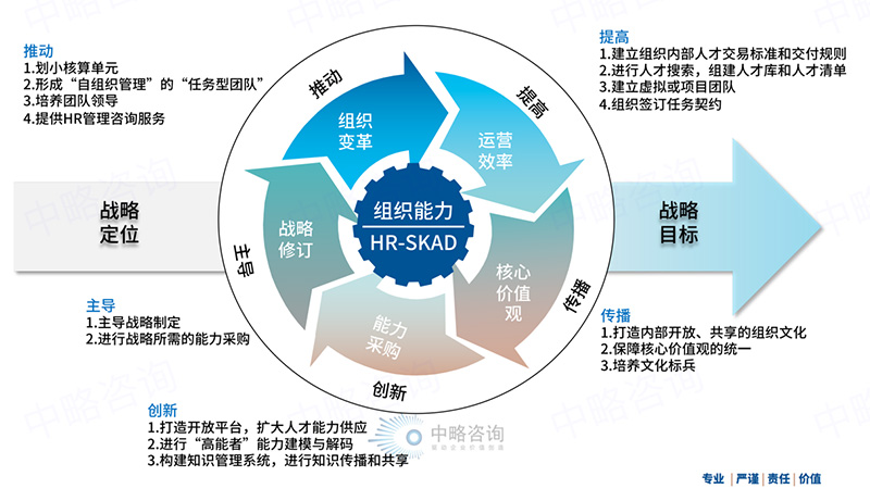 HR-SKAD组织能力作用模型