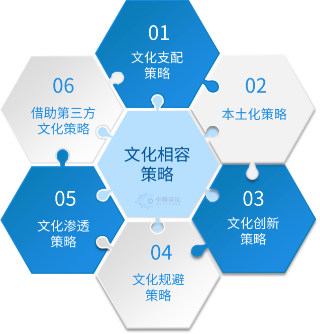 中略咨询的“跨文化管理战略框架”